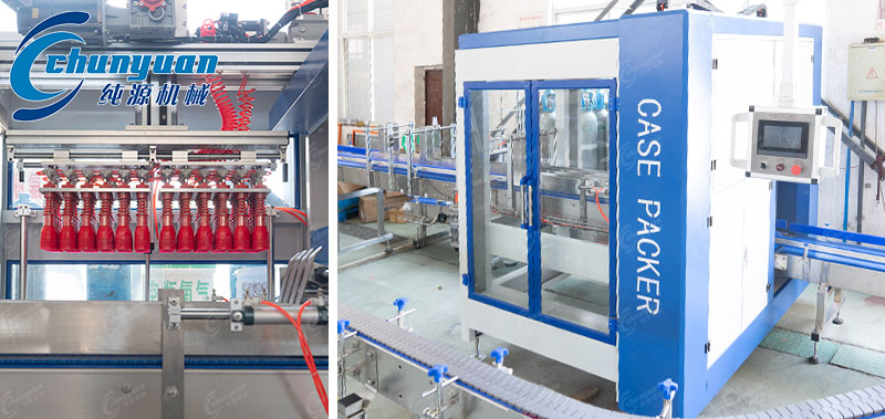 自動抓取式裝箱機-2 自動抓取式裝箱機-2