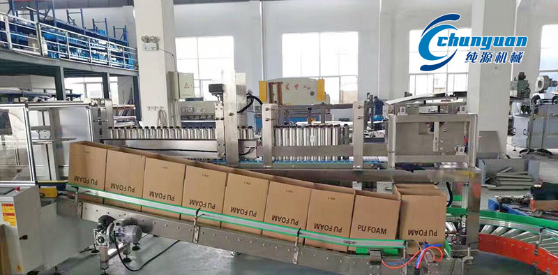 裝箱機，挑選裝箱機，純源裝箱機，純源機械